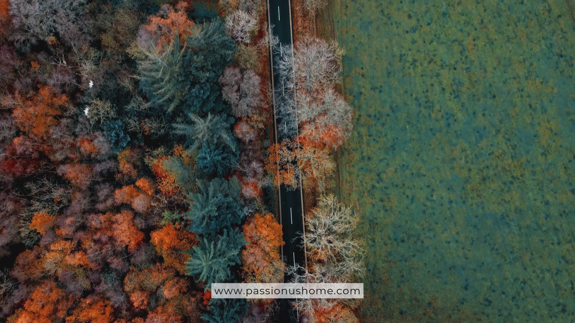 Videoyu yükle: website banner sonbahar renkler